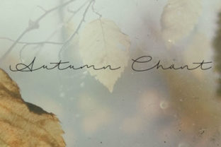 Discover the Beauty of Autumn Chant Font